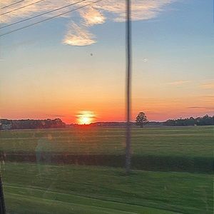 Meet your Posher, Ellie